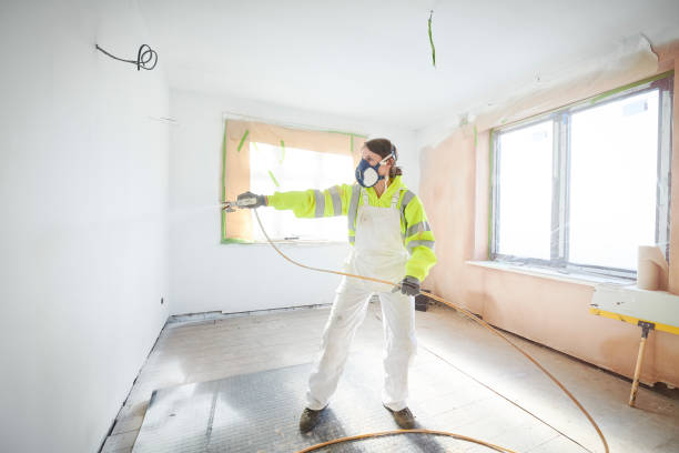 Reliable Newburg, WI Mold Removal Solutions