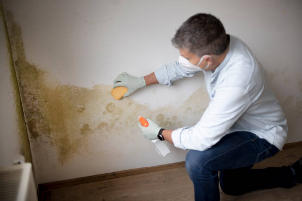 Best Biohazard Mold Removal  in Newburg, WI