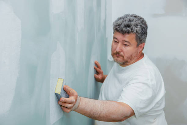 Best Black Mold Removal  in Newburg, WI